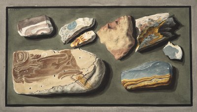 Specimens of a Curious Volcanic Matter Taken from a Hollow Road Leading from Pisciarelli to the Solfaterra, Plate XXXXIII, from 